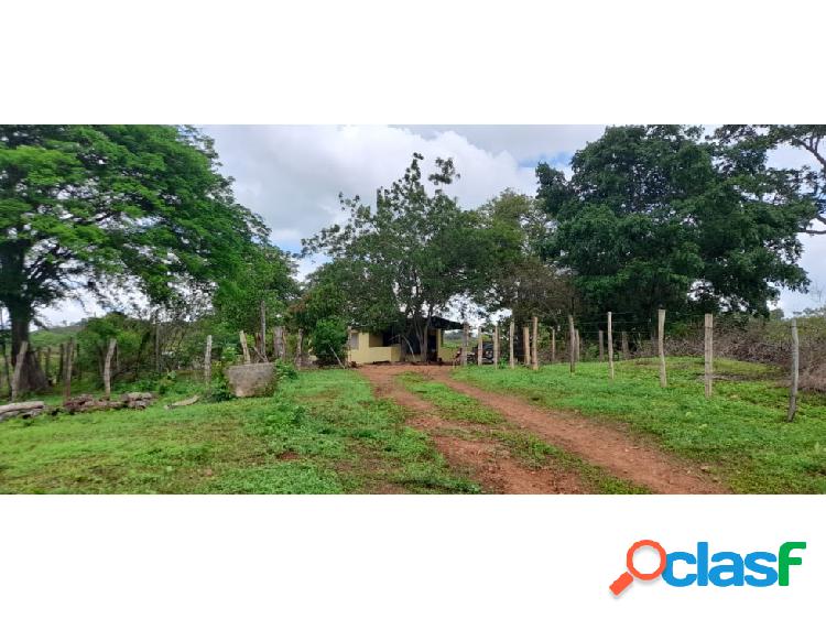 Finca Productiva con potencial en Ortiz Guárico