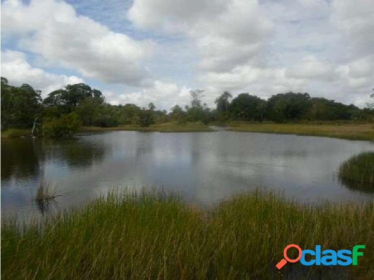 Finca de 9.080 Ha Guarico con Pista Aterrizaje Autorizada