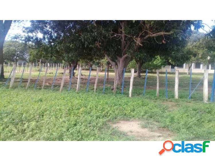 Finca en Venta - Estado Guárico 1.676 Hectáreas