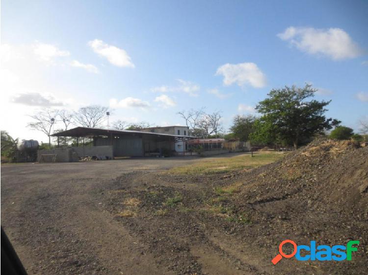 Finca en Venta en La Yunta. Autopista Par Vial. Tucacas.