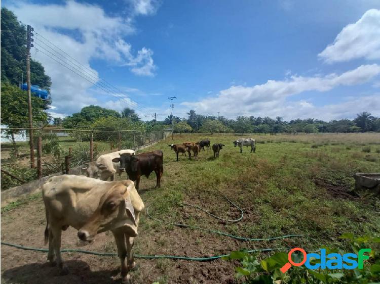 Real Visión Vende Finca Doña Ines (IBO 49451)