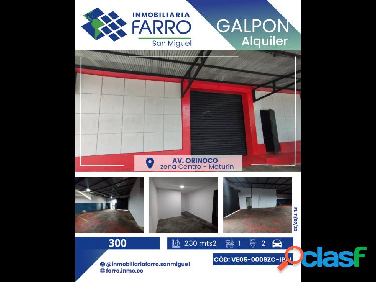 SE ALQUILA GALPON AV ORINOCO VE05-0009ZC-IPAL