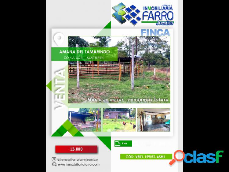 SE VENDE FINCA AMANA DEL TAMARINDO MATURIN VE01-1590ZS-ASMI