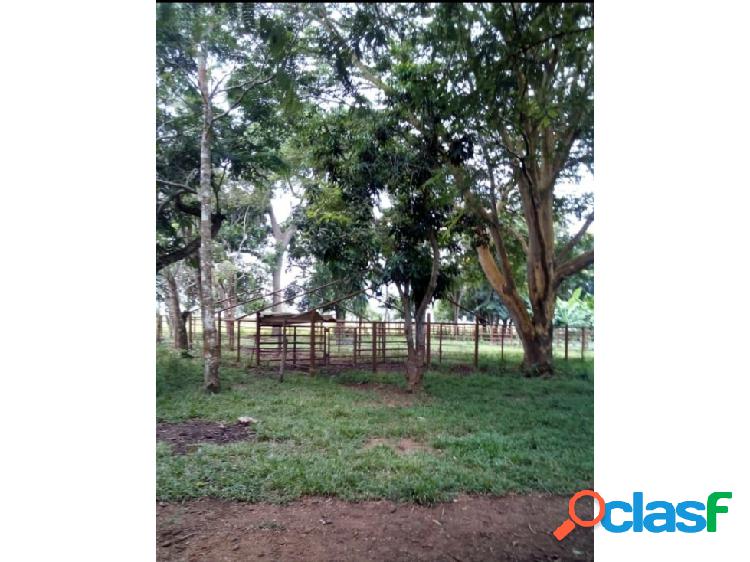 SE VENDE FINCA EN ARIBI, VIA AL SUR DE MONAGAS