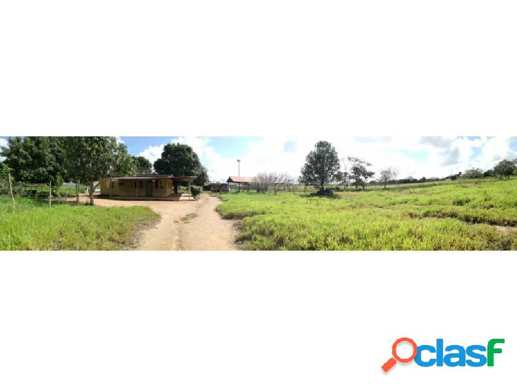 SE VENDE FINCA EN CAICARITA VE02-005CDM-ML