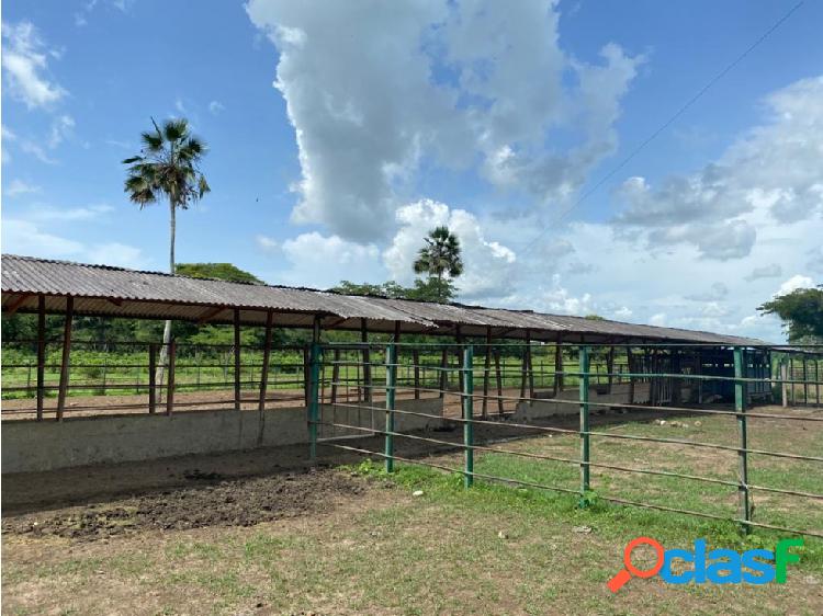 SE VENDE FINCA EN EL SECTOR EL REGALO, EDO. BARINAS