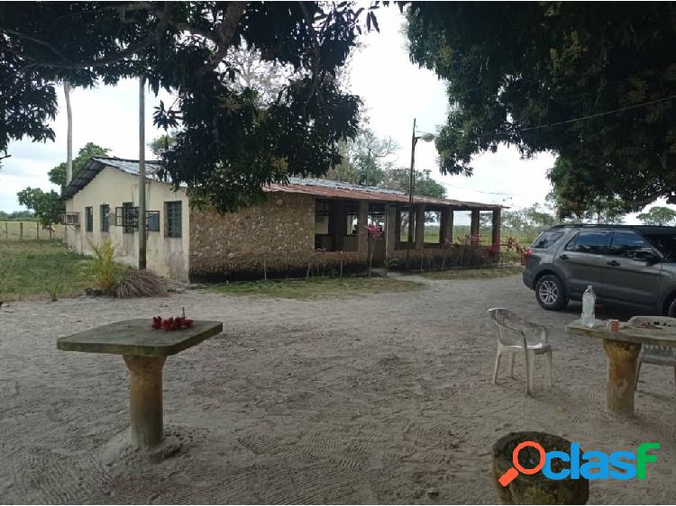 SE VENDE FINCA EN EL SECTOR LOS COROCITOS DE MATURIN