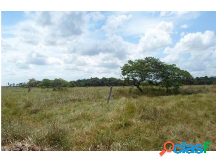 SE VENDE FINCA EN TEMBLADOR VE02-262VS-SSIL