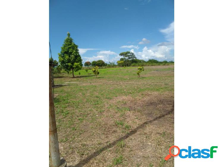 SE VENDE FINCA OJO DEL AGUA AV PPAL ZONA INDUSTRIAL