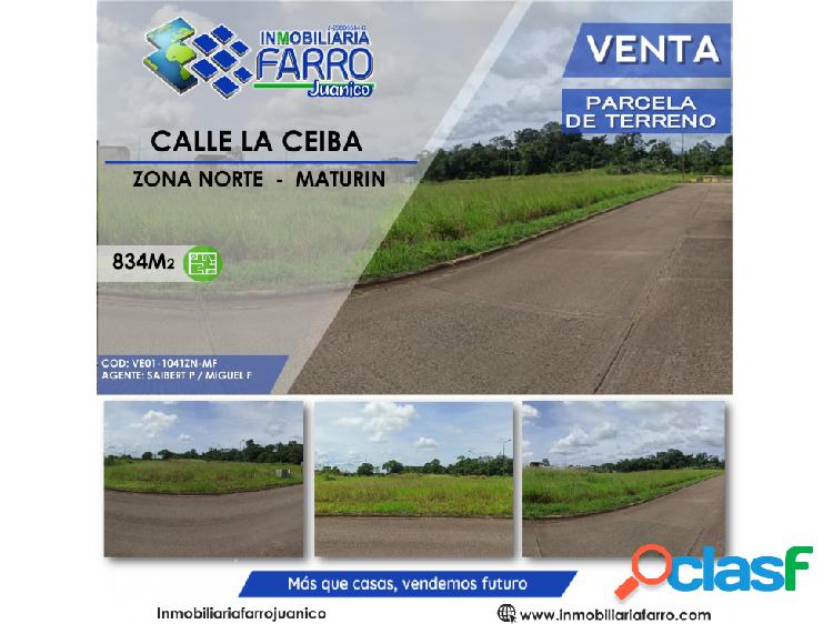 SE VENDE PARCELA CALLE LA CEIBA SAN MIGUEL VE01-1041ZN-MF