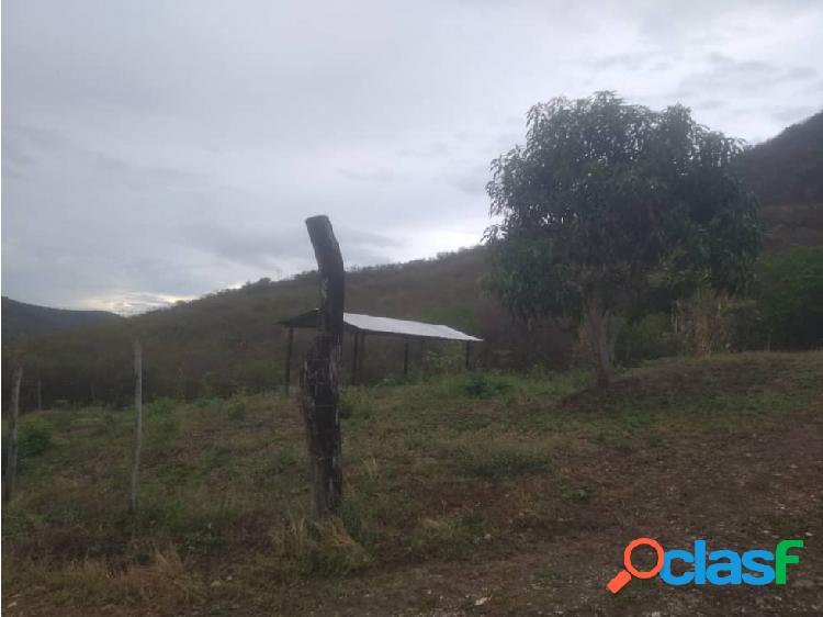 SE VENDE TERRENO EN EL SECTOR DE MACARAPANA/SUCRE