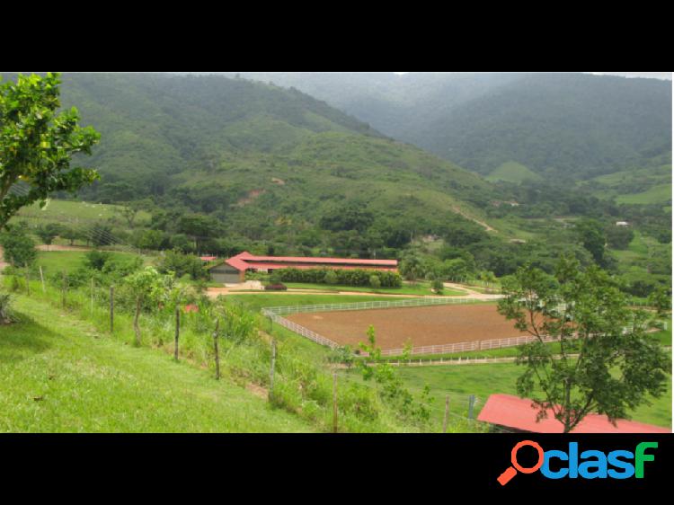 Se vende Hacienda 1659,39Ha Bejuma, Carabobo