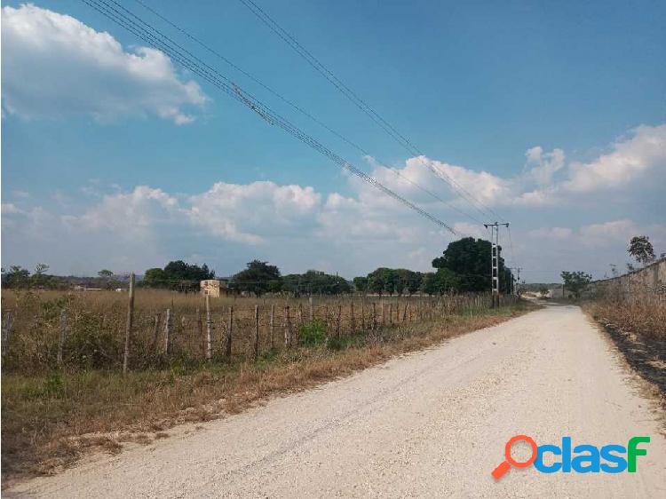 TERRENO AGROINDUSTRIAL EN TINAQUILLO, CERCA DEL PARQUE