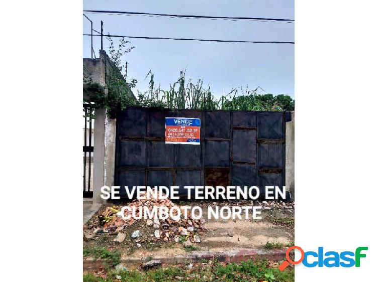 TERRENO EN VENTA, PUERTO CABELLO, CUMBOTO NORTE