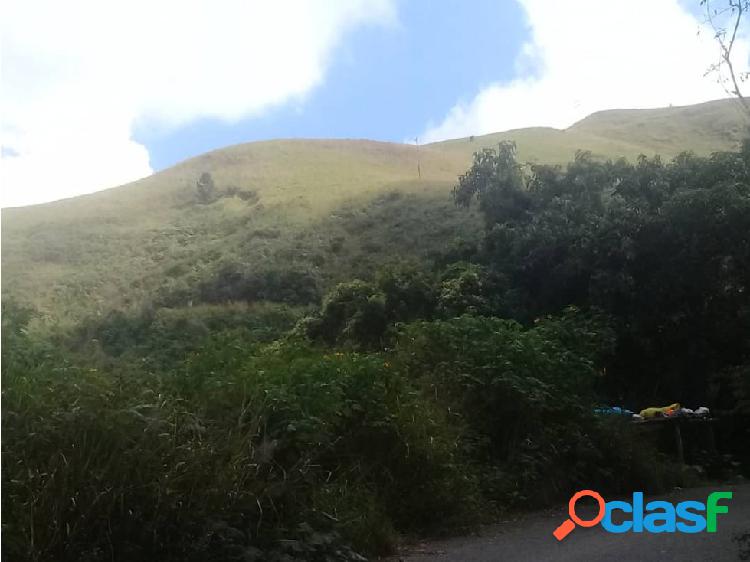 Terreno Catorce Hectáreas en El Cambural San Antonio de los