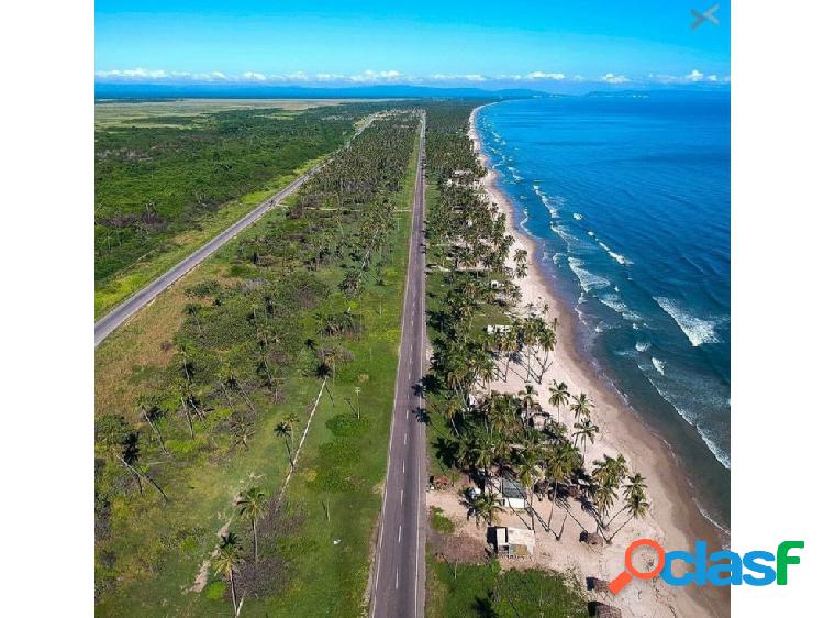 Terreno con vista al mar. Anteproyecto de Hotel o