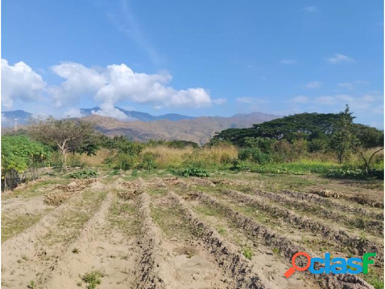 Terreno de 53.000 M2 en Yagua Sector el Limón Vía