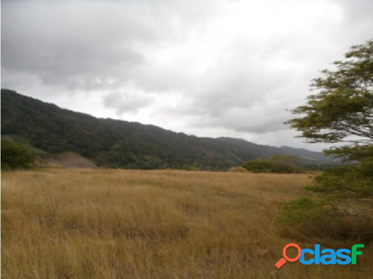 Terreno de Uso Industrial - Guatire - Estado Miranda