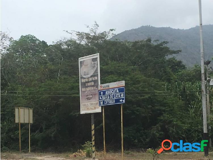 Terreno en Venta, Bahía de Cata, Estado Aragua.