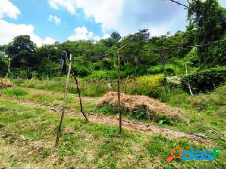 Terreno ubicado en la Unión cerca del Hatillo