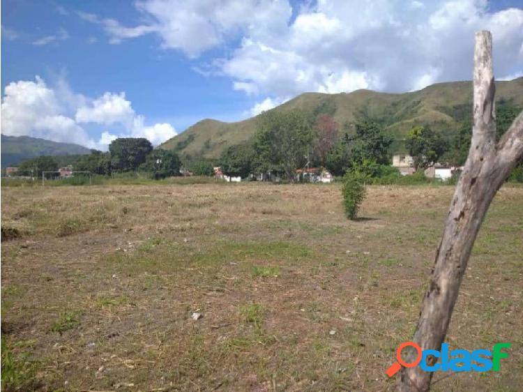 VENTA DE TERRENO EN GUACARA 34-01