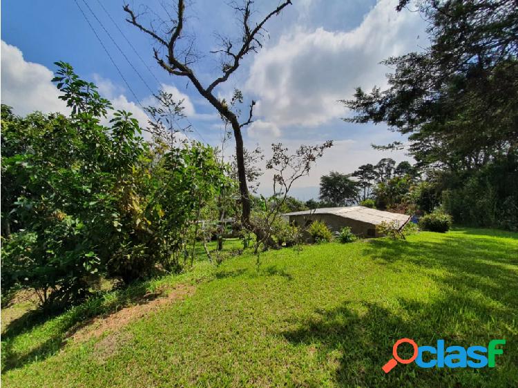 VENTA TERRENO CON CASAS EN GALIPAN CAMINO DE LOS ESPAÑOLES