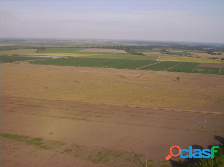 Vendo Lote de Terreno Plano en Acarigua Estado Portuguesa