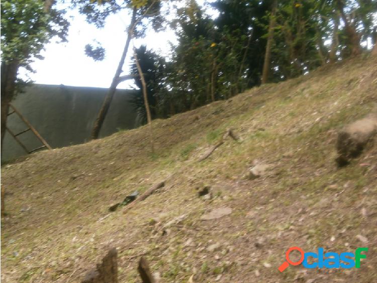 Vendo Terreno 1.000m2 Carrizal. Miranda