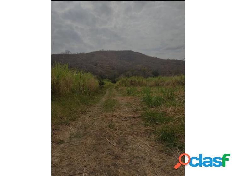 Vendo Terreno en Villa de Cura Aragua