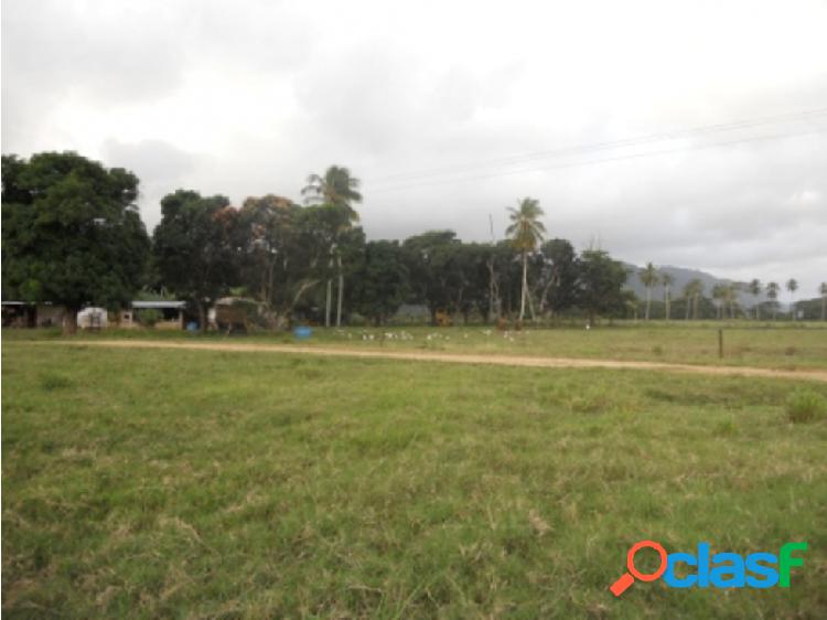 Vendo finca 253m2 Tucacas 4923