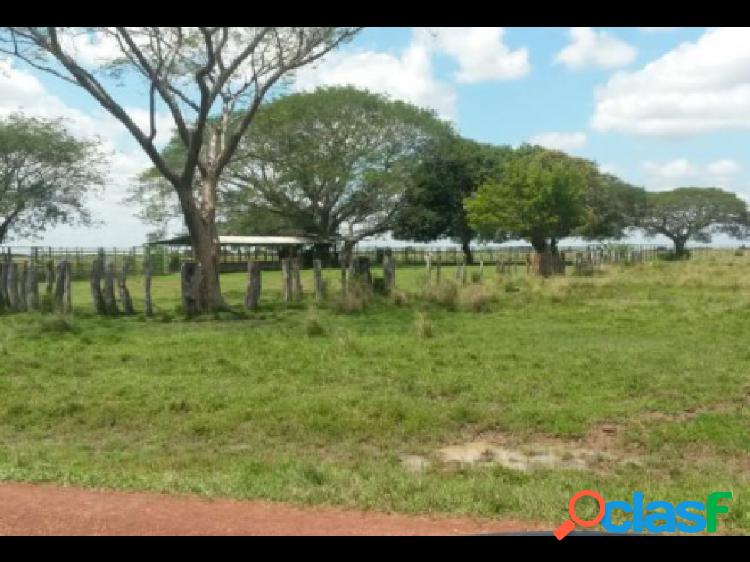 Venta de Finca en Tinaco C-6204058