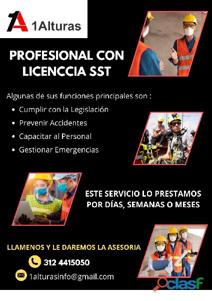 Profesional con licencia sst