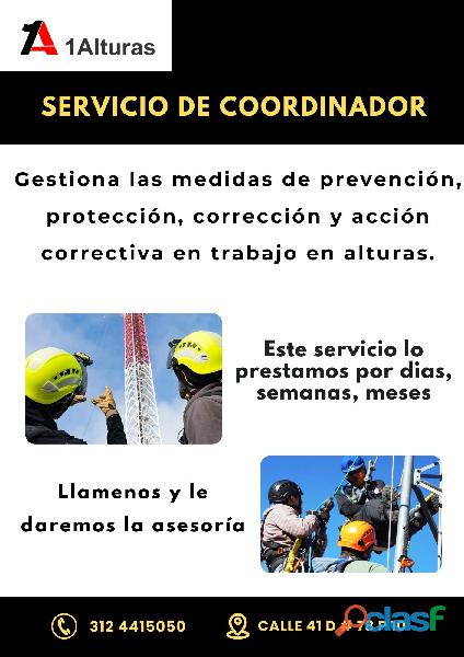 Servicio de coordinador