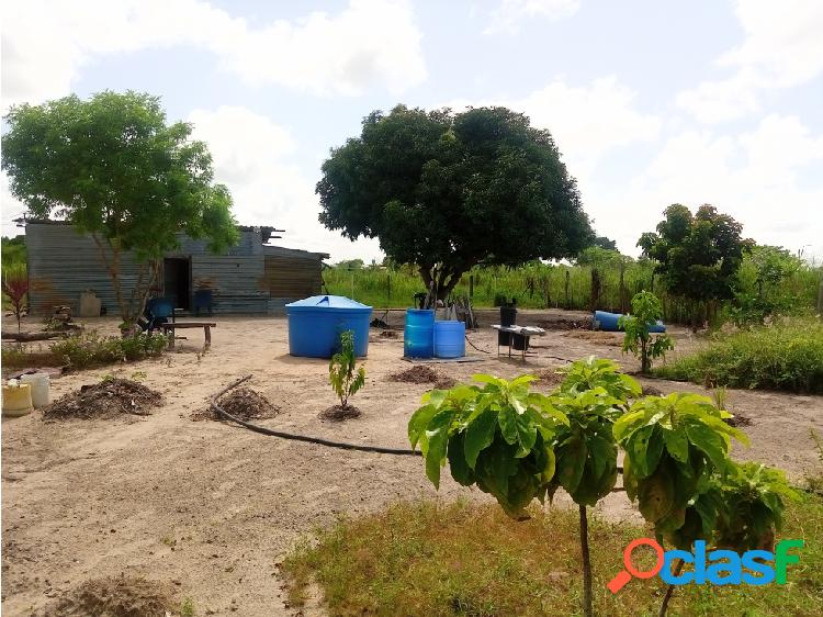 SE VENDE TERRENO EN ZONA INDUSTRIAL MATURIN-VE09-0026ZI-JRIV