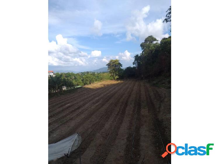 VENTA DE TERRENO EN LA UNIÓN, EL HATILLO.