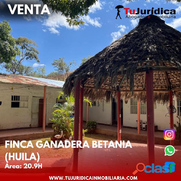 SE VENDE ESPECTACULAR FINCA GANADERA EN BETANIA (PALERMO HUI