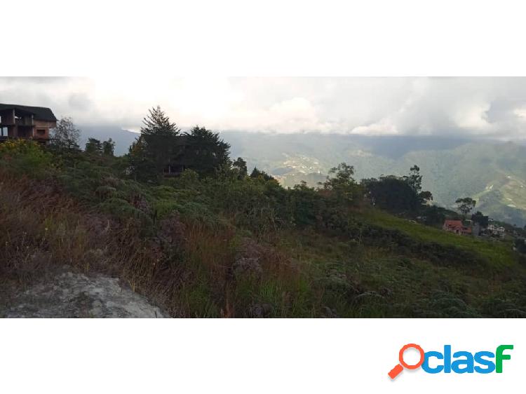 Se vende terreno de 4.000 m2 Colonia Tovar