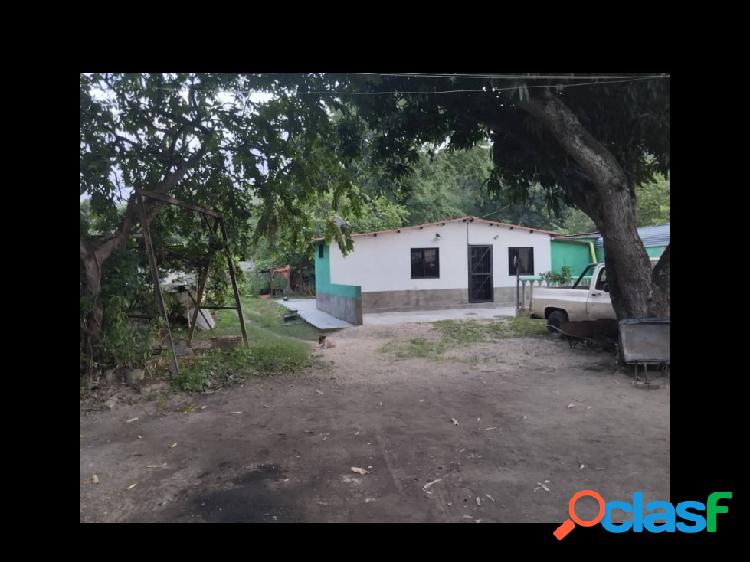 TERRENO CON GALPON EN CARRETERA NACIONAL VALENCIA GUIGUE